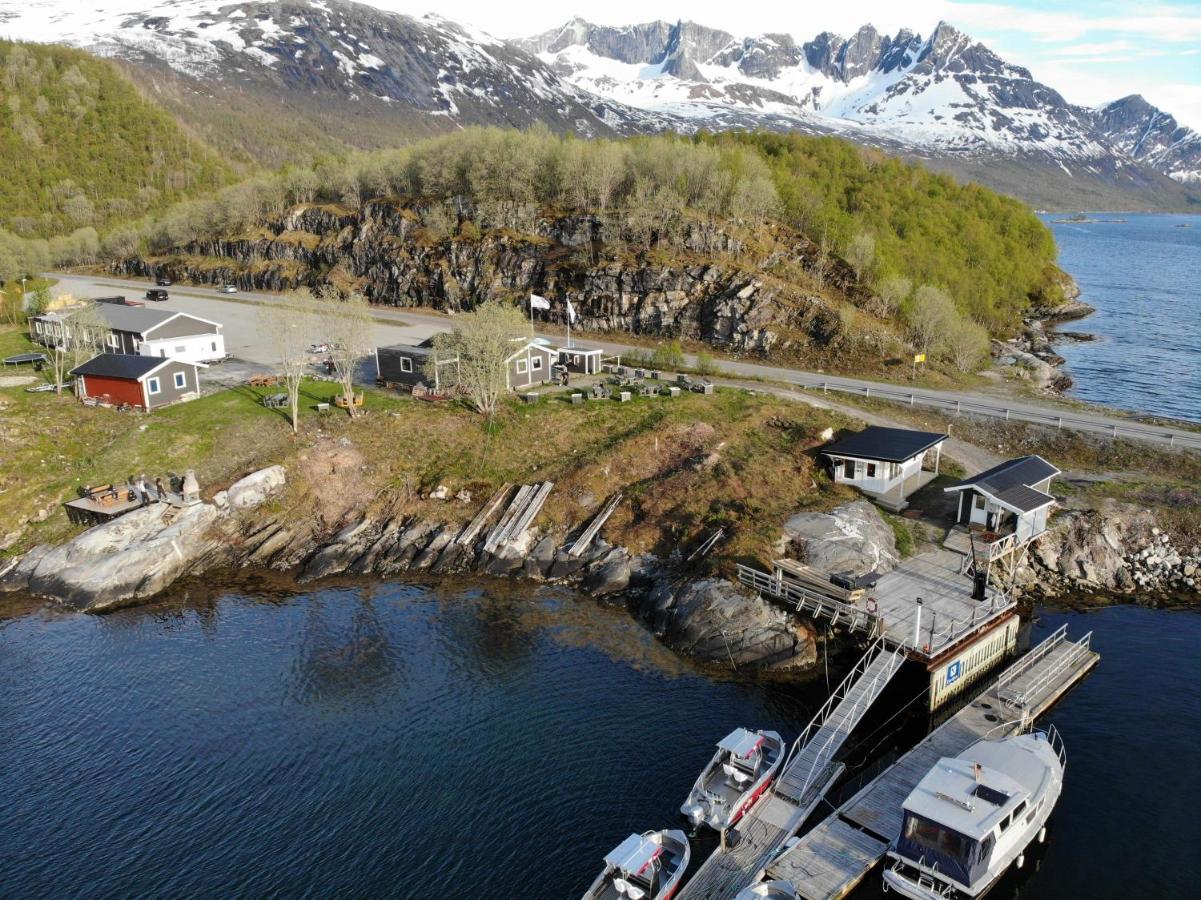 Polar Spot Campingplads